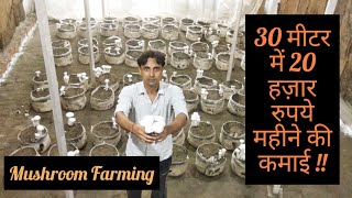 30 मीटर में 20 हज़ार रुपये महीने की कमाई || Mushroom Farming || Hello Kisaan