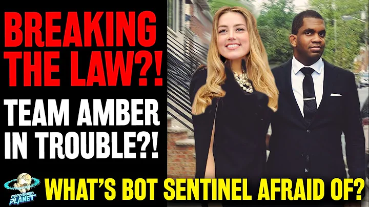 FACT CHECKING: Is Amber Heard's PAID Consultant, B...