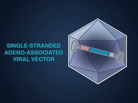 Video: Hemophilia A: Ord Du Bør Vite