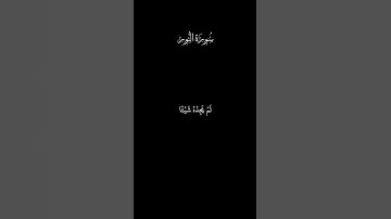 والذين كفروا أعمالهم كسراب بقيعة | سورة النور