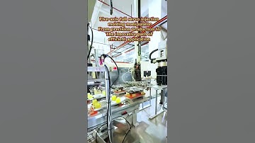 The process of five-axis full servo manipulator from production to user application