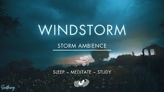 Windstorm | NO ADS | Howling Wind Sounds For Sleeping🎐
