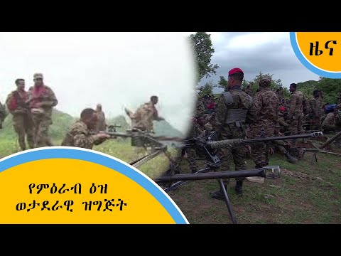 ቪዲዮ: የምዕራብ ዉድዋርድ ቱጃ ዝርያ መግለጫ። ቱጃ ምዕራባዊ ውድዋርድ: መትከል እና እንክብካቤ