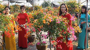 Làng Hoa Xuân Quan Văn Giang  Nhộn Nhịp Ngày Gần Tết | Đội KVTT Thế Hệ Mới Xã Hoàn Long (Phần 1 )