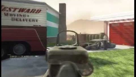 Black Ops Enfield and Dragunov