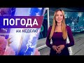 Погода на неделю с 31 мая по 6 июня 2021. Прогноз погоды. Беларусь | Метеогид