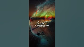 أكتب شي تؤجر عليه   #قران #تلاوة_خاشعة #قرآن_كريم #ارح_سمعك♡♡♡ #foryou #اكسبلور #duet #دويتو #قرآن