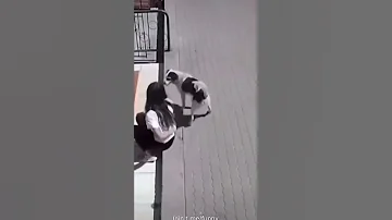 كلب يتبول على فتاة بدون سبب 