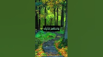 وَسَبِّحْ بِحَمْدِ رَبِّكَ بِالْعَشِيِّ وَالْإِبْكَارِ❤️#ذكر #مع_القرآن #اطمئنان #سورة_غافر