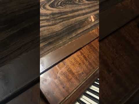 მარინკა ვუკრავ  პიანინოზე (3)