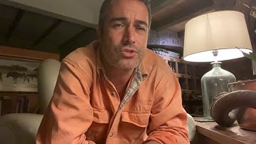 How do birds know where to go when they migrate?