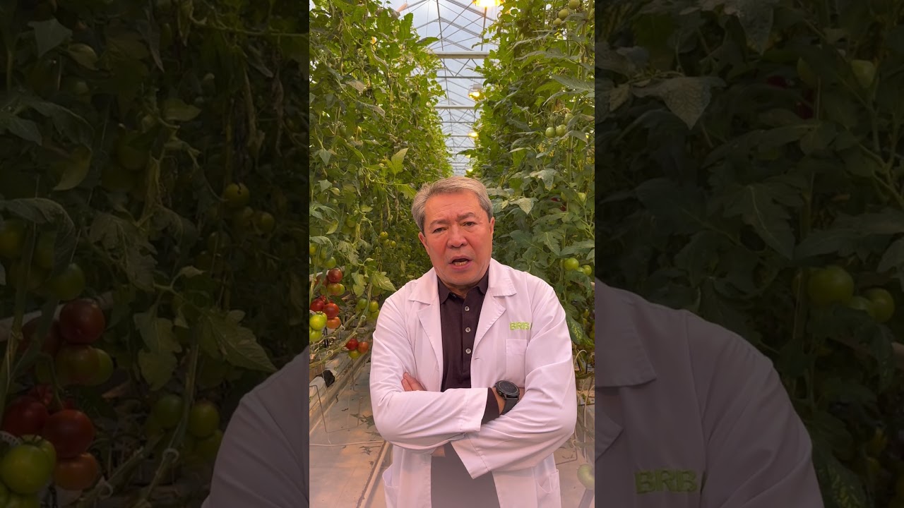 Международная выставка оборудования и технологий для выращивания растений Grow Expo Astana 2025!