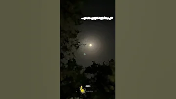 بازم منو خیابونا این الکلا بازخوانی استعداد شعر اهنگ غمگین Reels Shorts Viral Viralshorts 