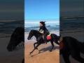 beautiful speed of horse