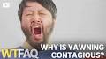 ***YAWN***search?q=***YAWN***search?sca_esv=9f7259ab7855135b Why is yawning contagious from www.youtube.com