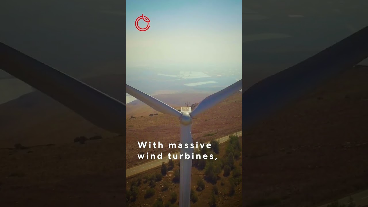 Renewables in Focus: Middle East's green revolution 
