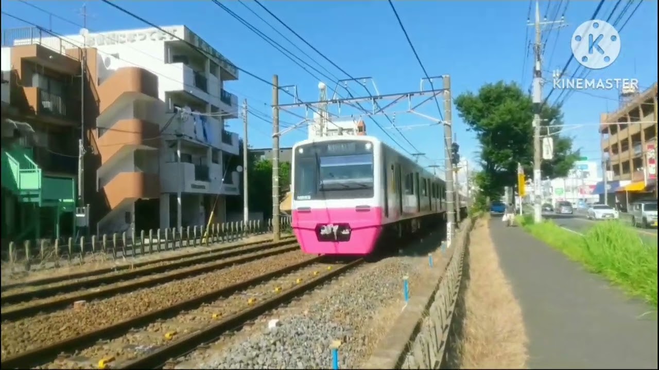 過去写真・動画集④