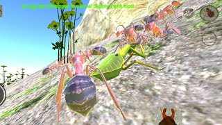 SEMUT MEMAKAN BELALANG😬//ANT SIMULATION