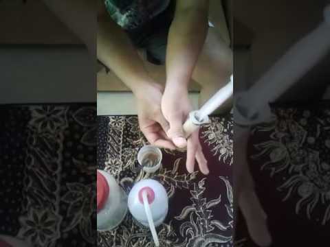 Cara Membuang Angin Pada Spete Saat Mau Meloloh Lovebird