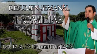 Resumen de Homilías, del 17 al 23 de Julio del 2023  Padre Arturo Cornejo