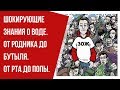 ОТВЕТЫ на ВСЕ  ваши вопросы о воде ЗДЕСЬ!! ( Вода. Как пить?) 2109