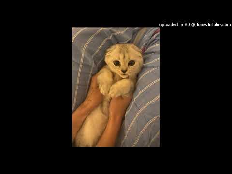 MEOVV - Hit em (bass boosted)