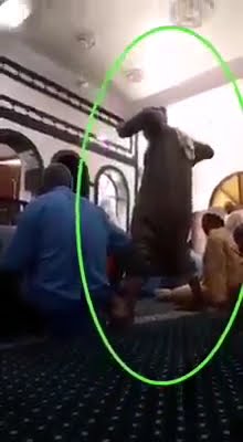 tata cara sholat bermadzhab al albani