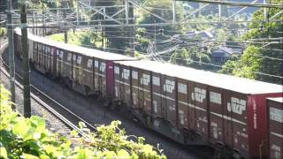 2014 08 05 8093レ EF64 1012+EF64 1024+コキ13両