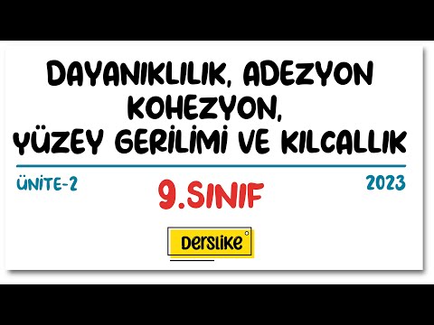 Dayanıklılık Adezyon Kohezyon Yüzey Gerilimi Kılcallık | 9. Sınıf | 2023