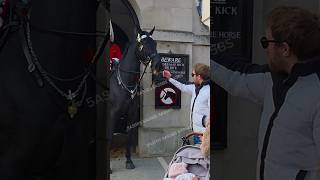 Tourists Push Too Far — The King’s Guard Horse Is Agitated 🐎💂‍♂️
