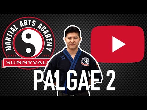 Palgae 2 | Sunnvyale Martial Arts Academy