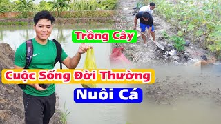 Cuộc Sống Đời Thường Đơn Giản Mà Vui Trồng Cây, Nuôi Cá Sau Vườn [ CSQMT 28 tháng 6, 2023 ]