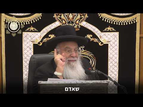 דרך ארץ קדמה לתורה