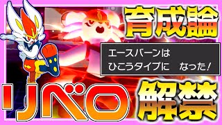 【解禁】リベロエースバーン育成論対策！持ち物性格、技構築、戦い方、徹底解説！【ポケモン育成論】【ポケモン剣盾】