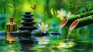 Tranquil Water Piano Music for Deep Relaxation| Heals the Mind, body and Soul | Tranquil Moments