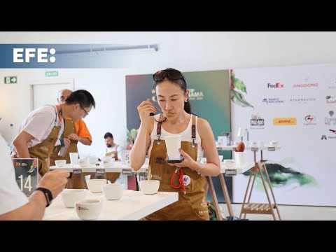 Auction of 750 kg of exclusive Panamanian coffee raises over three million dollars