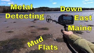 Metal Detecting Mud Flats and Shoreline: Down East Maine