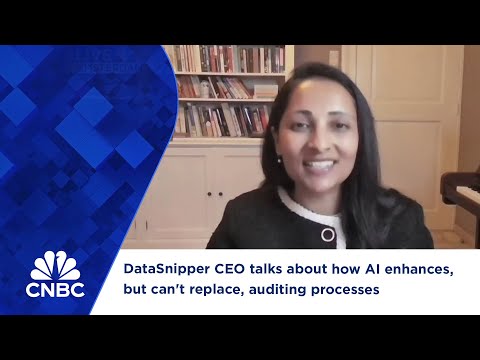DataSnipper CEO talks about how AI enhances, but can't replace, auditing processes Episode cover