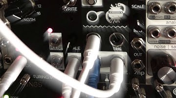 Found // Music Thing Turing // Sonic Potions Penrose // Mutable Plaits // 2HP Delay // 2HP Reverb