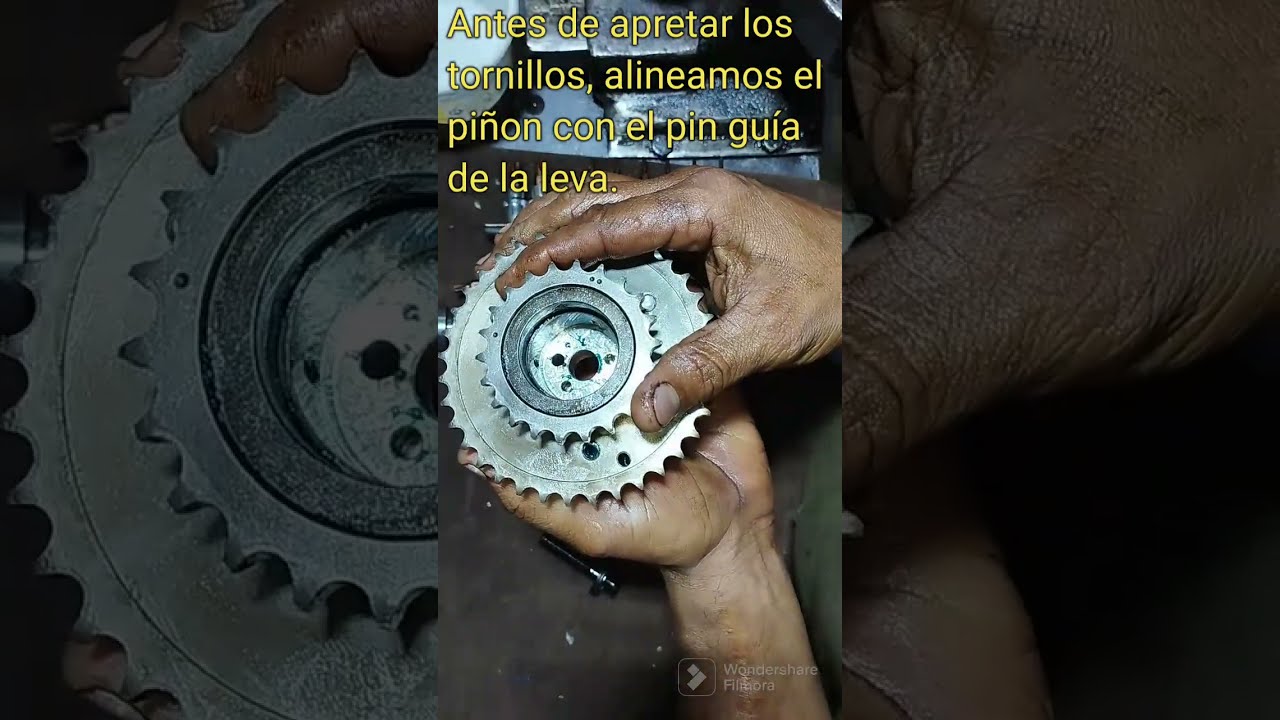 Engranaje Vvti Toyota 1grfe. Landcruiser, Fortuner, 4runner, Hilux, Tacoma y FJ.