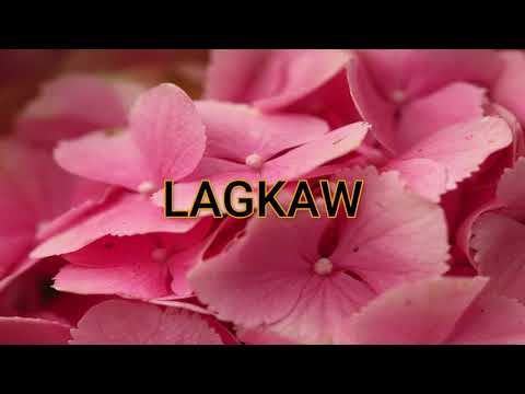 Lagkaw by Verni