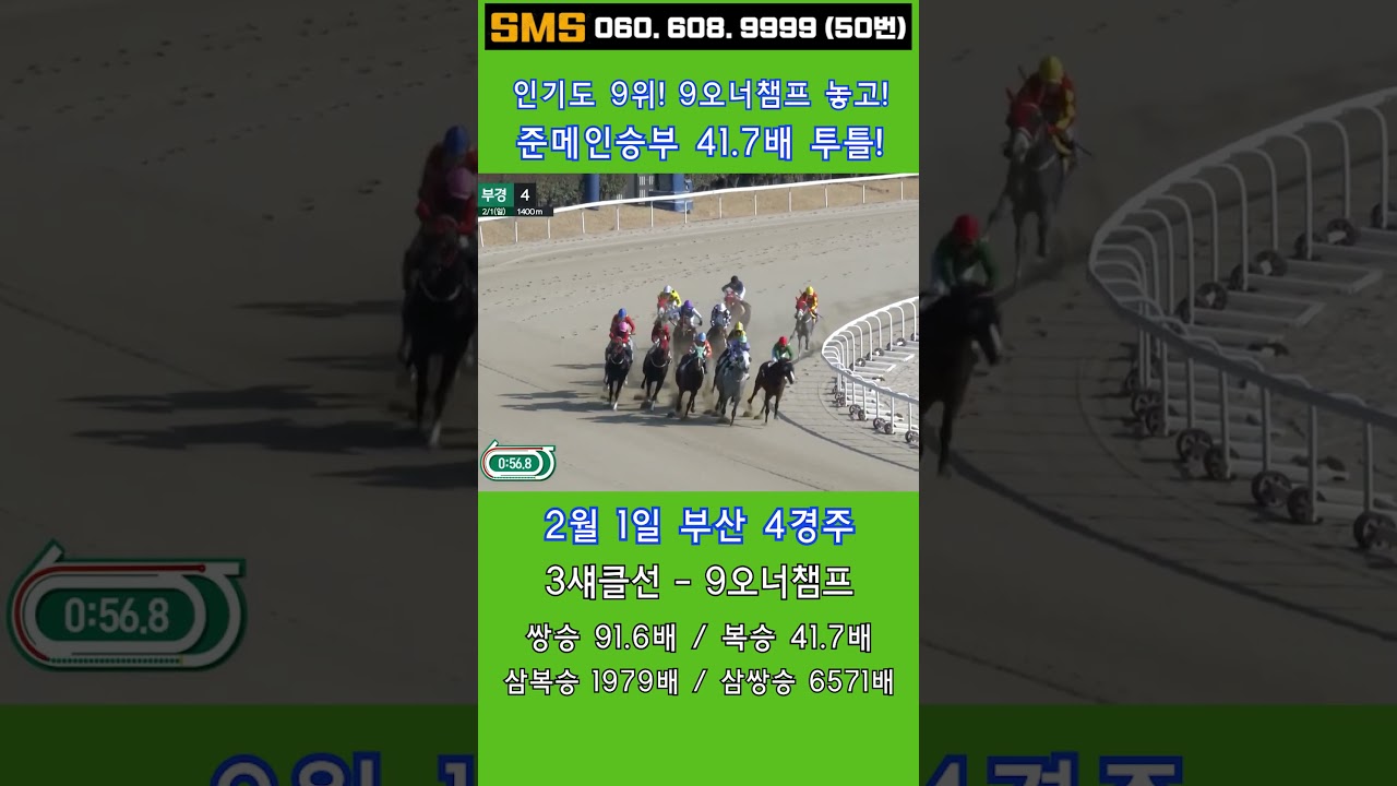 2/1(일)💣41.7배! W노림수 복병! 9오너챔프 놓고! 준메인승부! / 믿어지십니까? 이런게 한구라입니다. 🐎 인기1위에 쫄지마!
