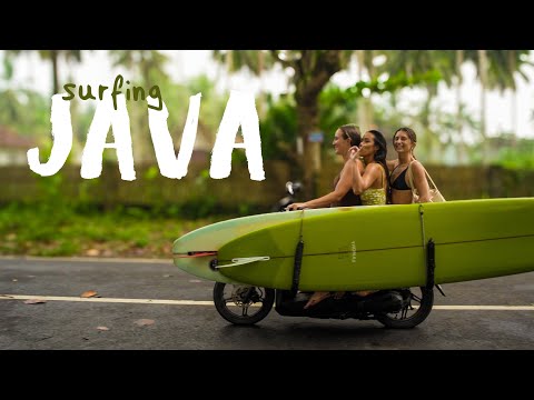 surfing perfect longboard waves in JAVA