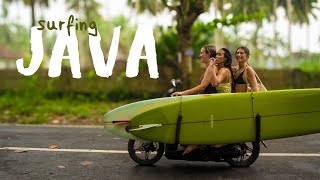 surfing perfect longboard waves in JAVA
