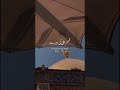MERE DAM ME DAM HUSSAIN KA HAI ✋✨💚#irfanikalam #sufi #moulaali #hassanhussain #ytshorts #shortvideo