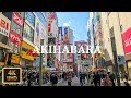 DJI Osmo Pocket - 秋葉原を散歩 Walk around Akihabara【4K】【March 2019】
