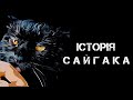 История одного кота