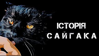 История одного кота