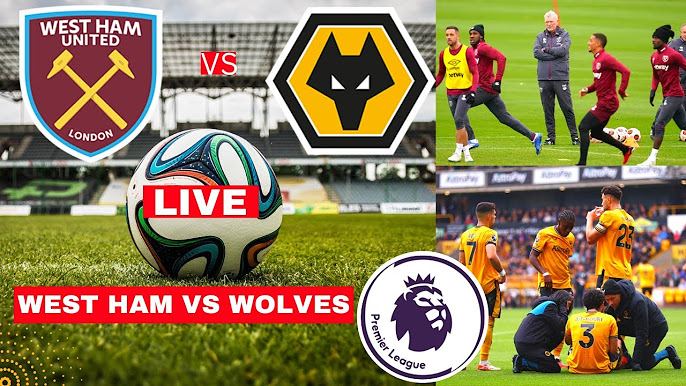 Live Scores - All Today Sports Live Scores and Results