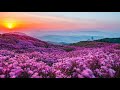 45+ البقره Pics